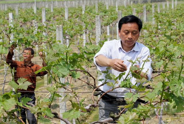 必一运动bsport体育