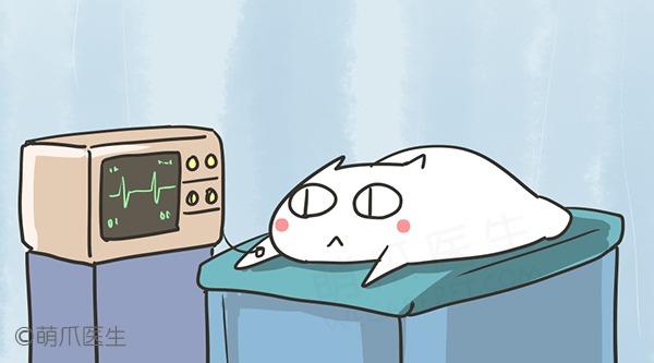 必一运动bsport体育