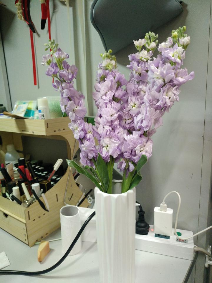 必一运动bsport体育