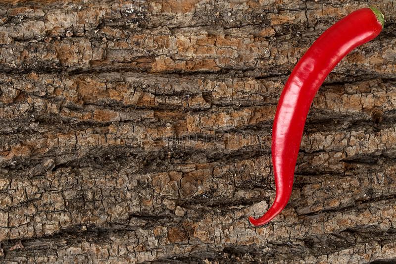 必一运动官网:免费还能拿100个成就?这游戏没理由不玩!(图4) 必一运动