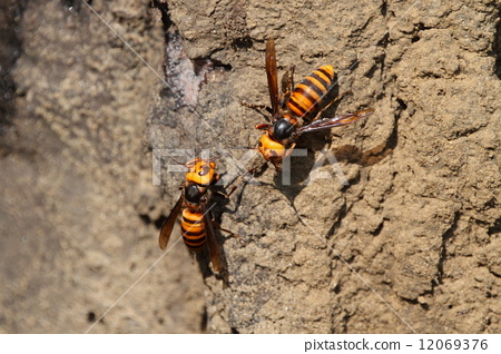 明朗Unravel场景环境宣传片 优美环境背后饱含深意‘bsports必一体育’(图1) 必一运动bsport体育